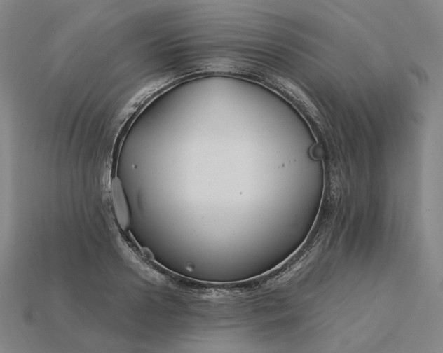 X0000115240938200911131701