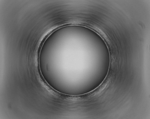 X0000115240939200911131701