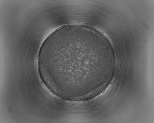 X0000115240941200911131701