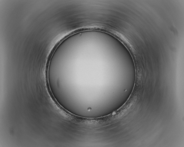 X0000115240943200911131701