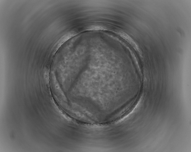 X0000115240945200911131701