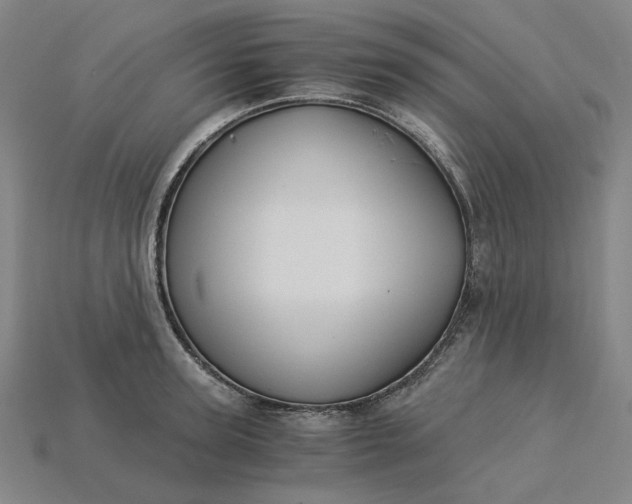 X0000115240947200911131701
