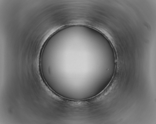 X0000115240949200911131701