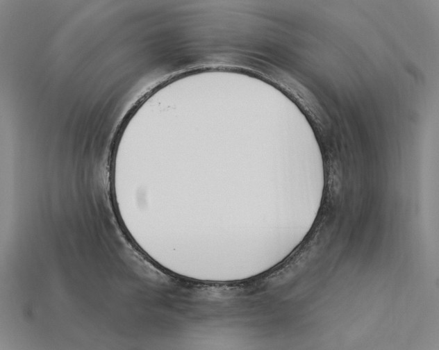 X0000115240950200911131701