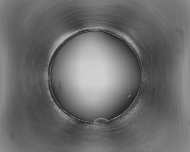 X0000115240951200911131701
