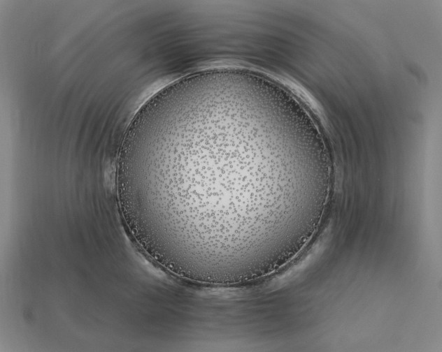 X0000115240953200911131701
