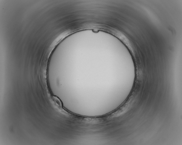 X0000115240954200911131701
