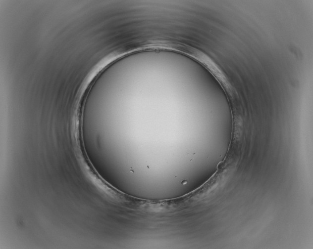 X0000115240955200911131701