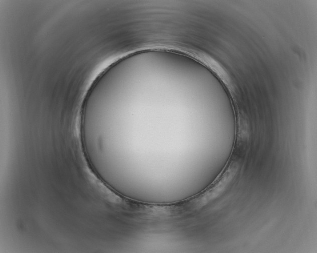 X0000115240958200911131702