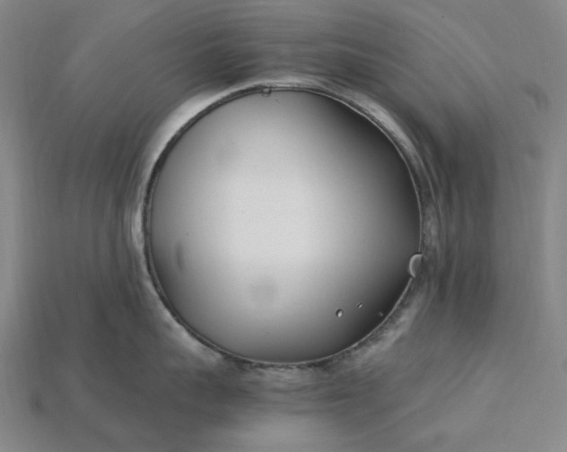 X0000115240959200911131702