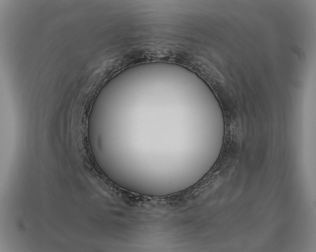 X0000115240961200911131701