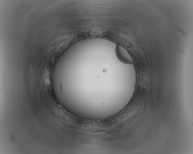 X0000115240962200911131701