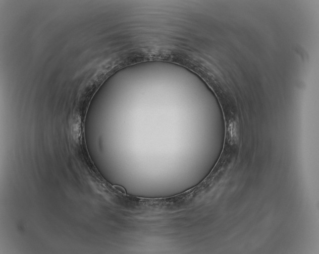 X0000115240963200911131701
