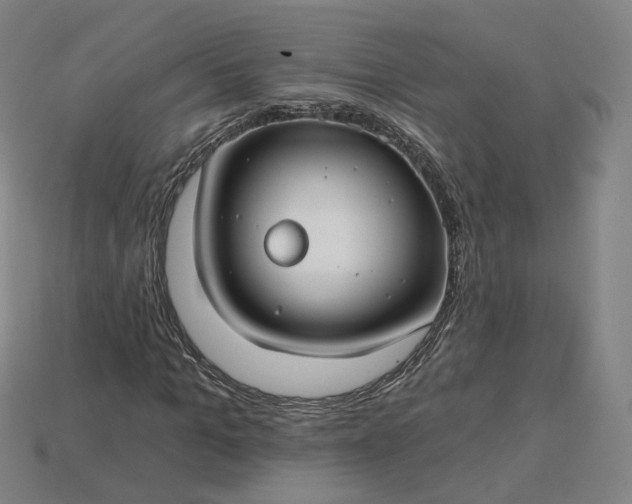 X0000115240965200911131701