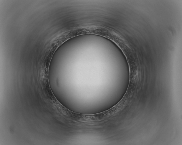 X0000115240966200911131701