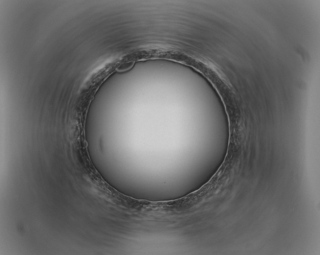 X0000115240967200911131701