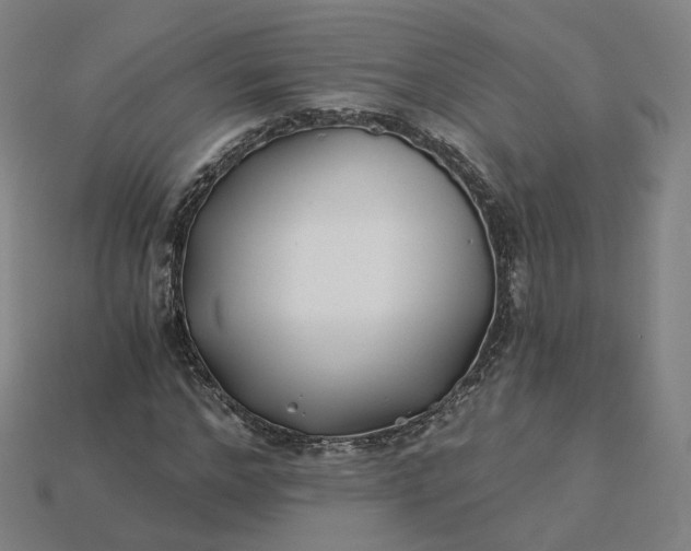 X0000115240968200911131701