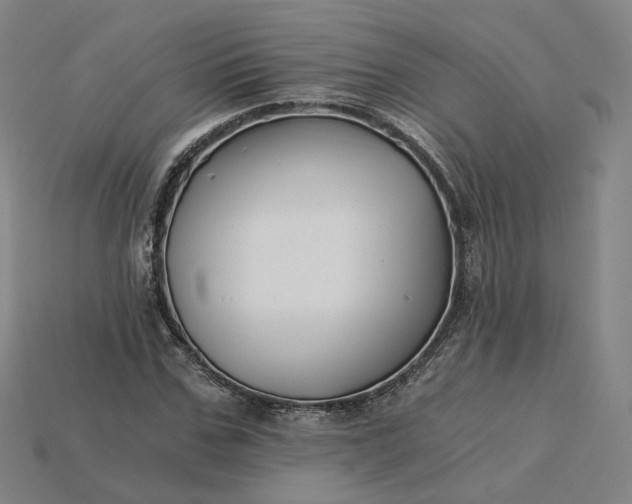 X0000115240971200911131701