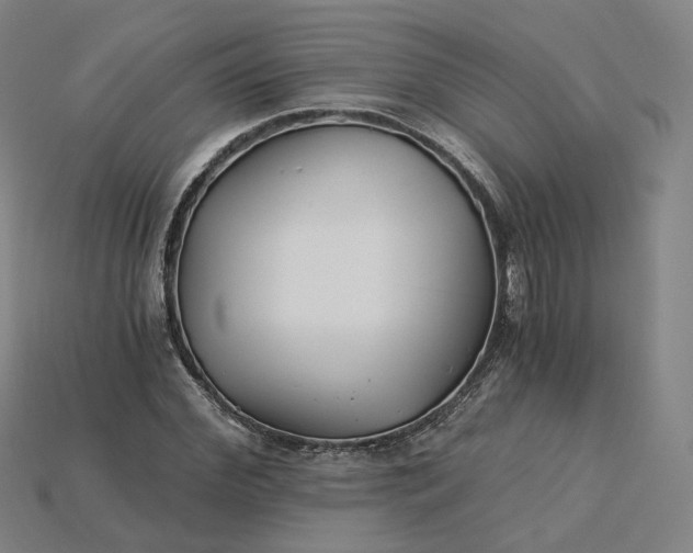X0000115240972200911131701