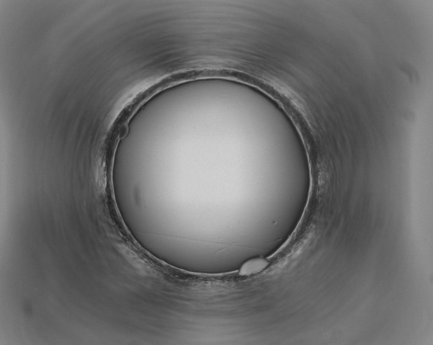 X0000115240973200911131701