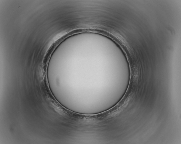 X0000115240974200911131701