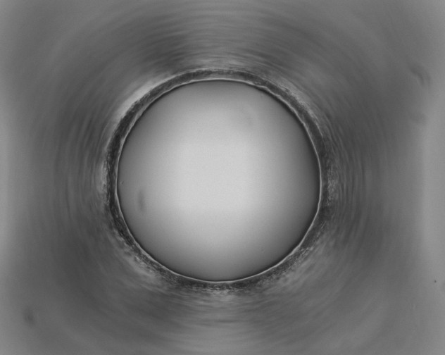 X0000115240975200911131701