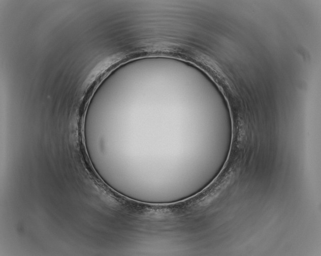 X0000115240978200911131701