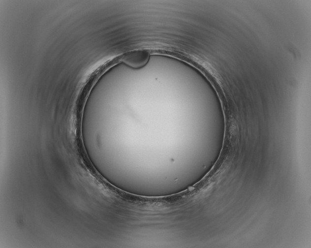 X0000115240979200911131701