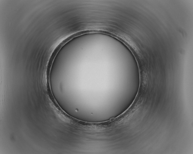 X0000115240980200911131701