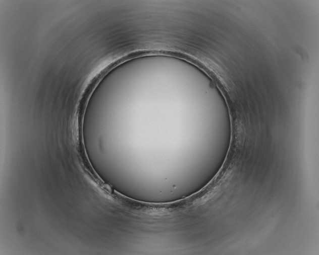 X0000115240982200911131701