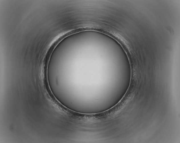 X0000115240983200911131701