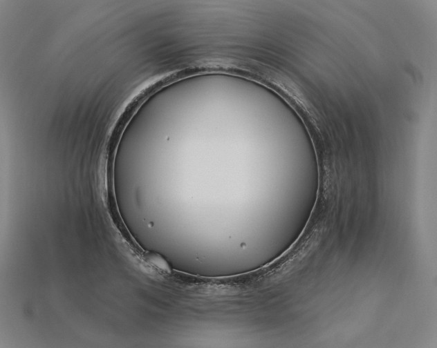 X0000115240984200911131701