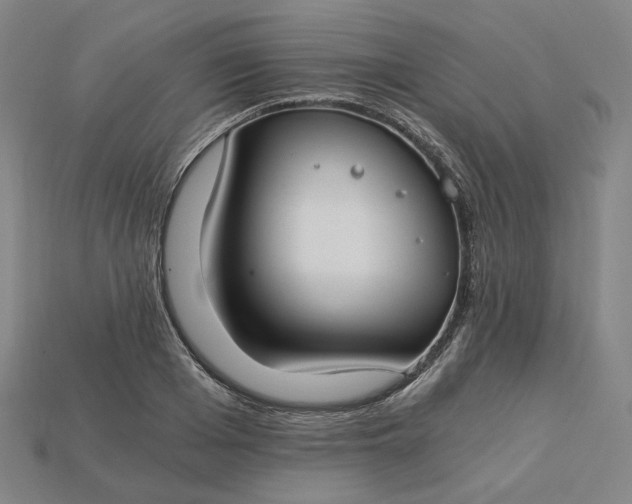 X0000115240985200911131701