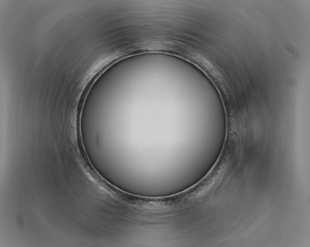 X0000115240986200911131701