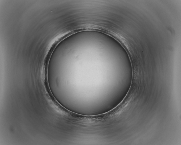 X0000115240987200911131700