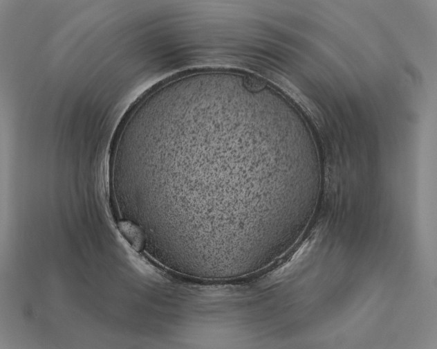 X0000115240988200911131700