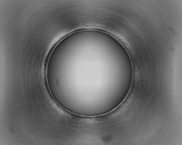 X0000115240990200911131700