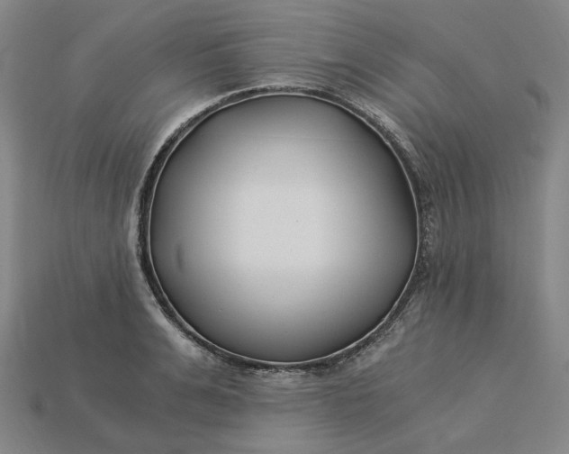X0000115240991200911131700