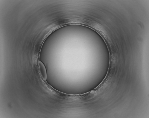 X0000115240993200911131700