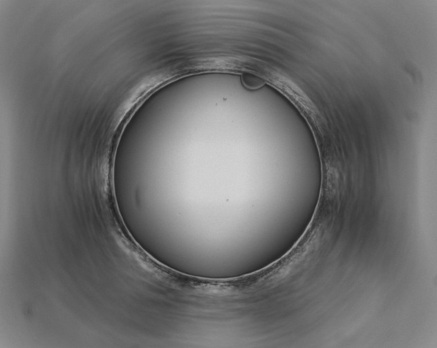 X0000115240994200911131700