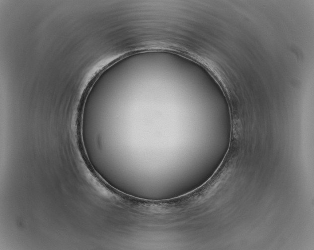 X0000115240995200911131700