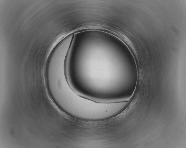 X0000115240997200911131700