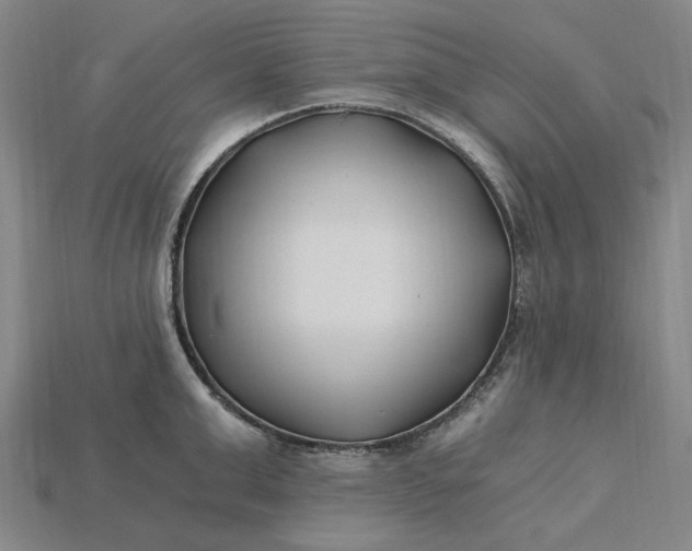 X0000115240999200911131700