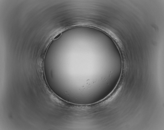 X0000115241001200911131700