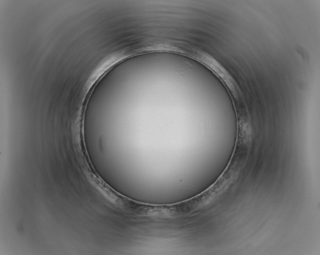 X0000115241002200911131700