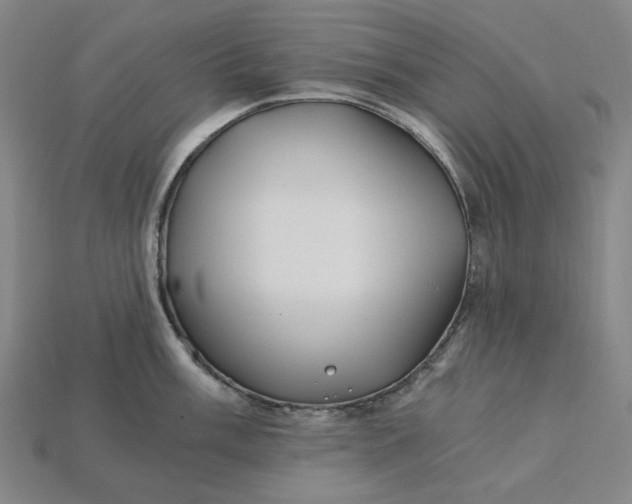 X0000115241003200911131700