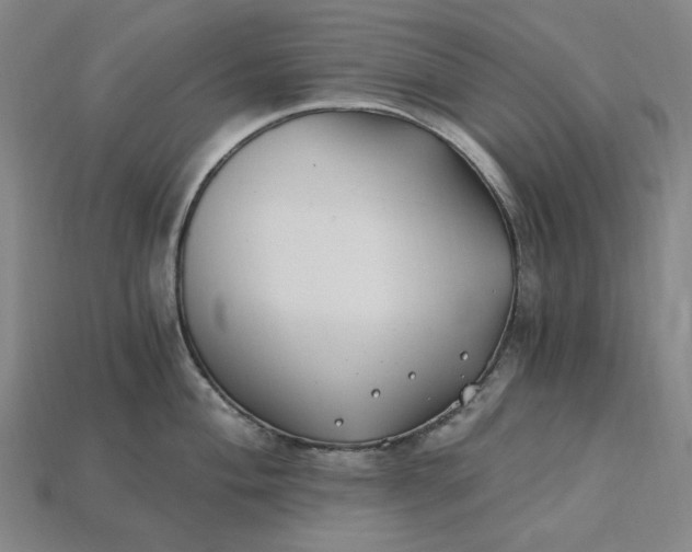 X0000115241004200911131700