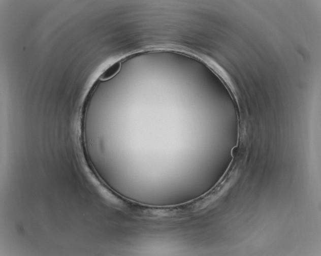 X0000115241005200911131700
