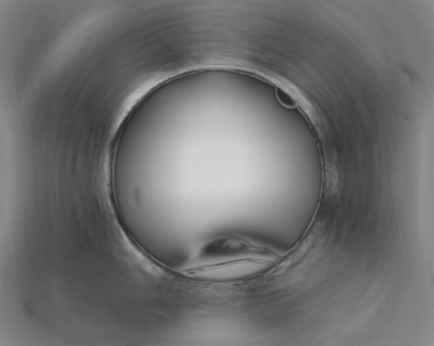 X0000115241006200911131700