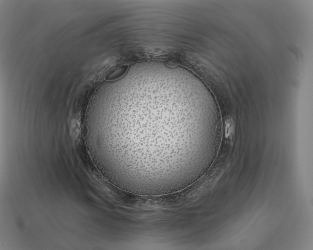 X0000115241011200911131659
